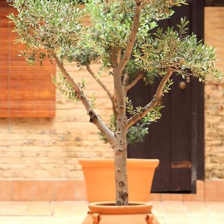 Apartamento Corral De Triana Siviglia Esterno foto