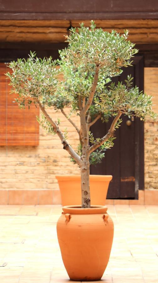Apartamento Corral De Triana Siviglia Esterno foto